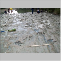 100_0553 (2009-26-07)m.JPG